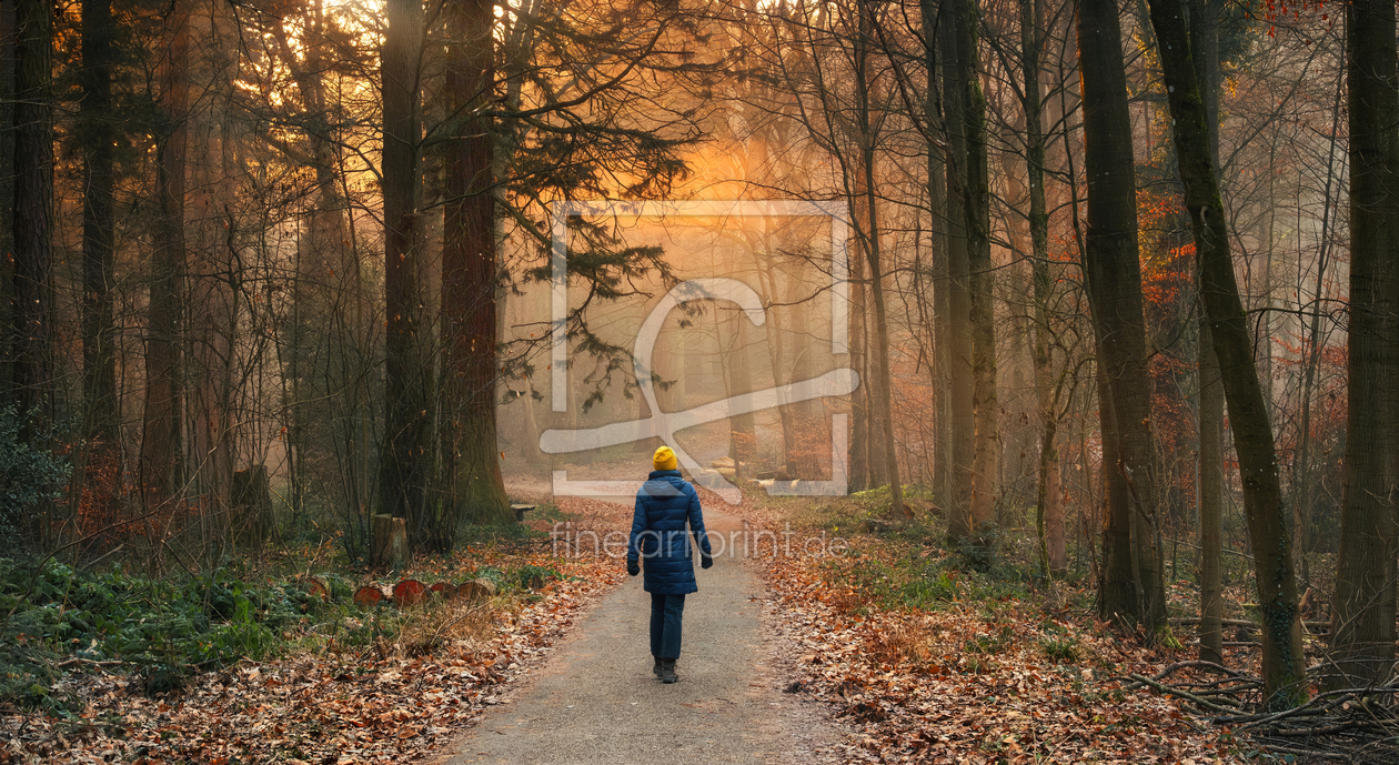Bild-Nr.: 12930065 Spaziergang im Wald mit leuchtendem Nebel erstellt von Smileus