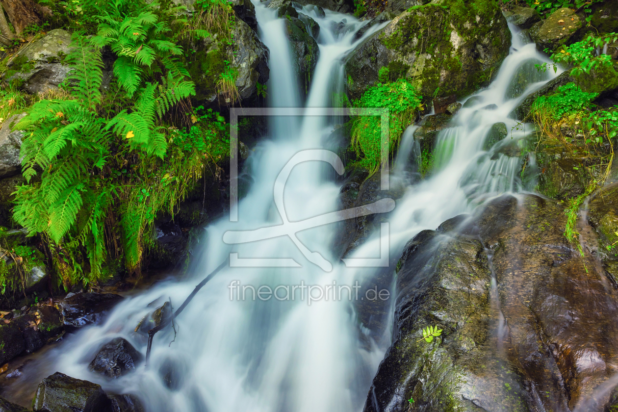 Bild-Nr.: 12930240 Todtnauer Wasserfall - Schwarzwald erstellt von uh-Photography