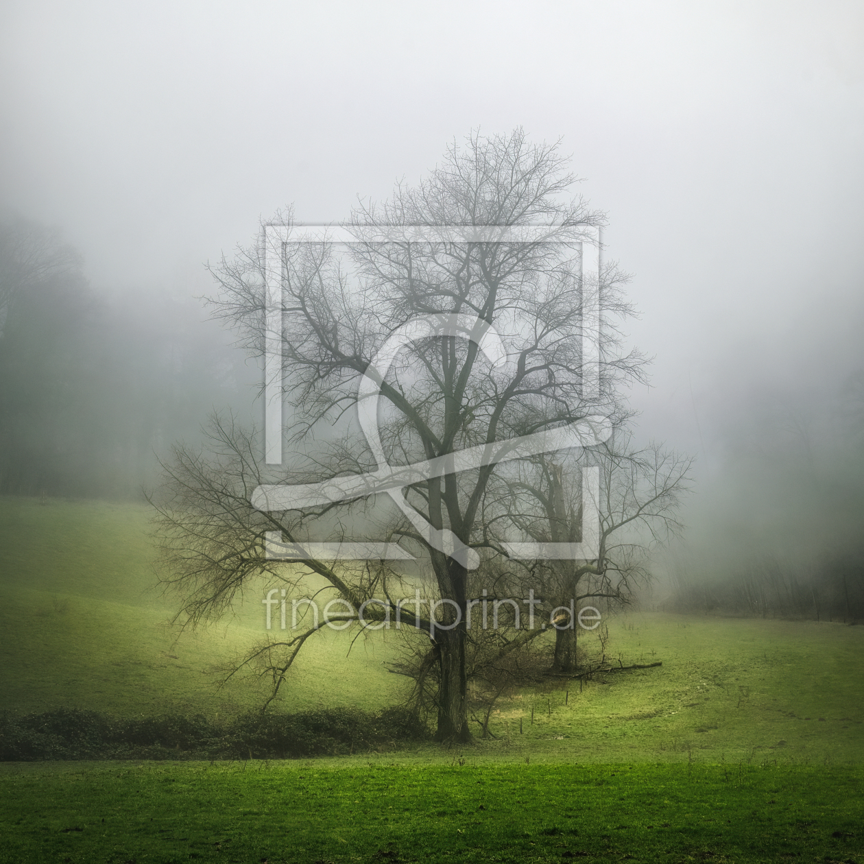 Bild-Nr.: 12933127 Verträumte Landschaft mit prächtigen Baum im Nebel erstellt von Smileus