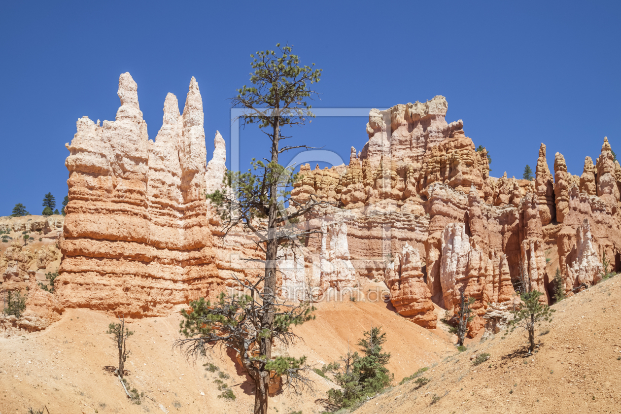 Bild-Nr.: 12933780 BRYCE CANYON Faszinierende Felsformationen  erstellt von Melanie Viola
