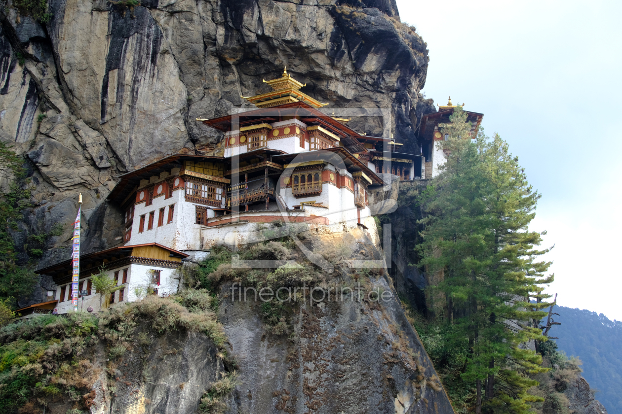 Bild-Nr.: 12934297 Tiegernest  erstellt von Gerhard Albicker