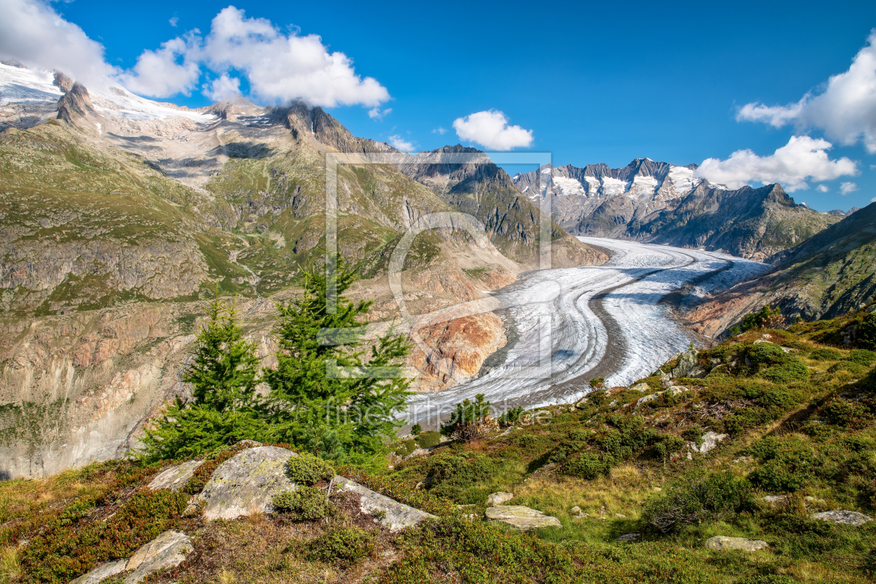 Bild-Nr.: 12934509 Aletschgletscher Schweiz erstellt von Achim Thomae