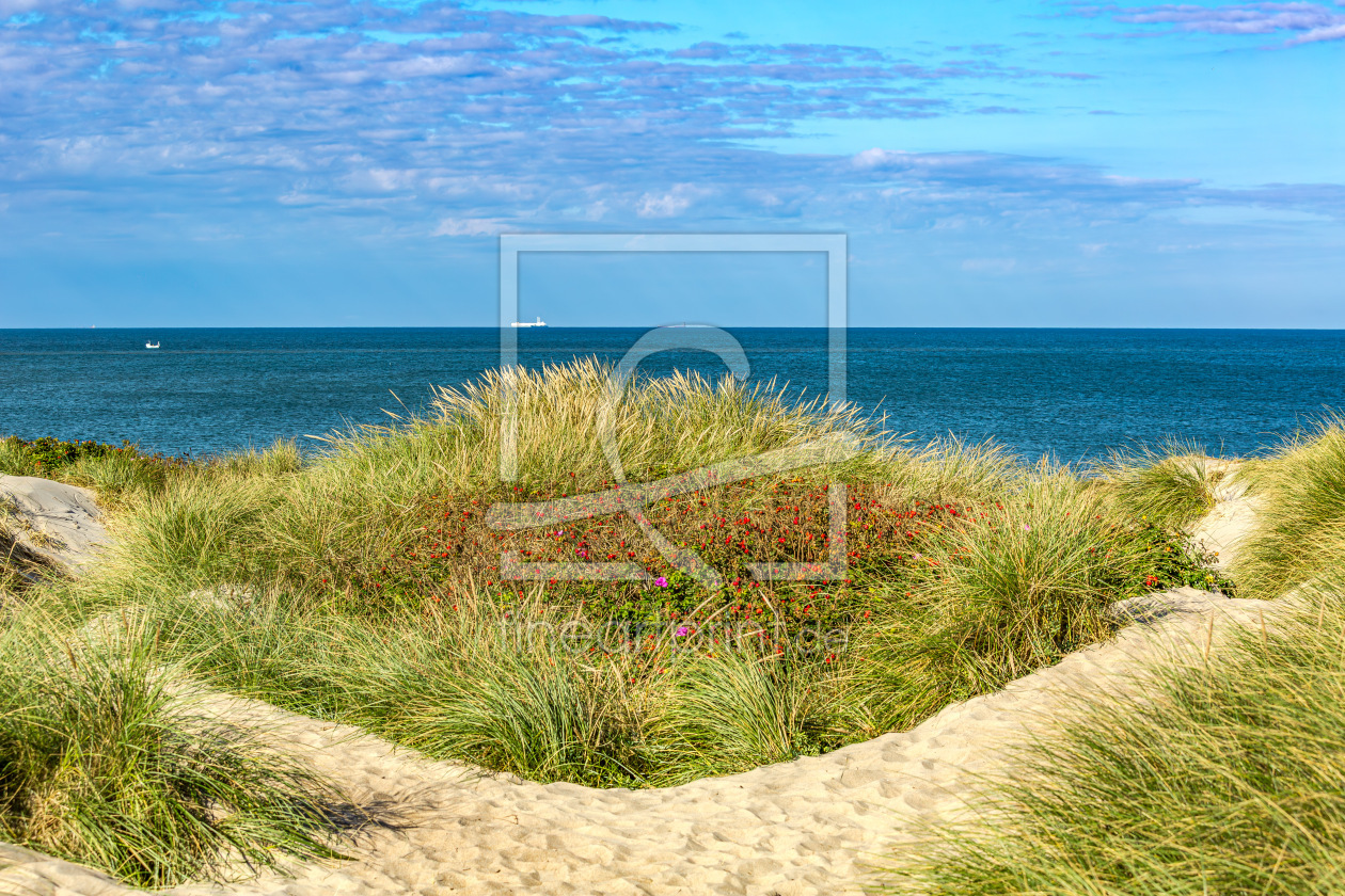 Bild-Nr.: 12935127 Nordseedünen erstellt von Ursula Reins