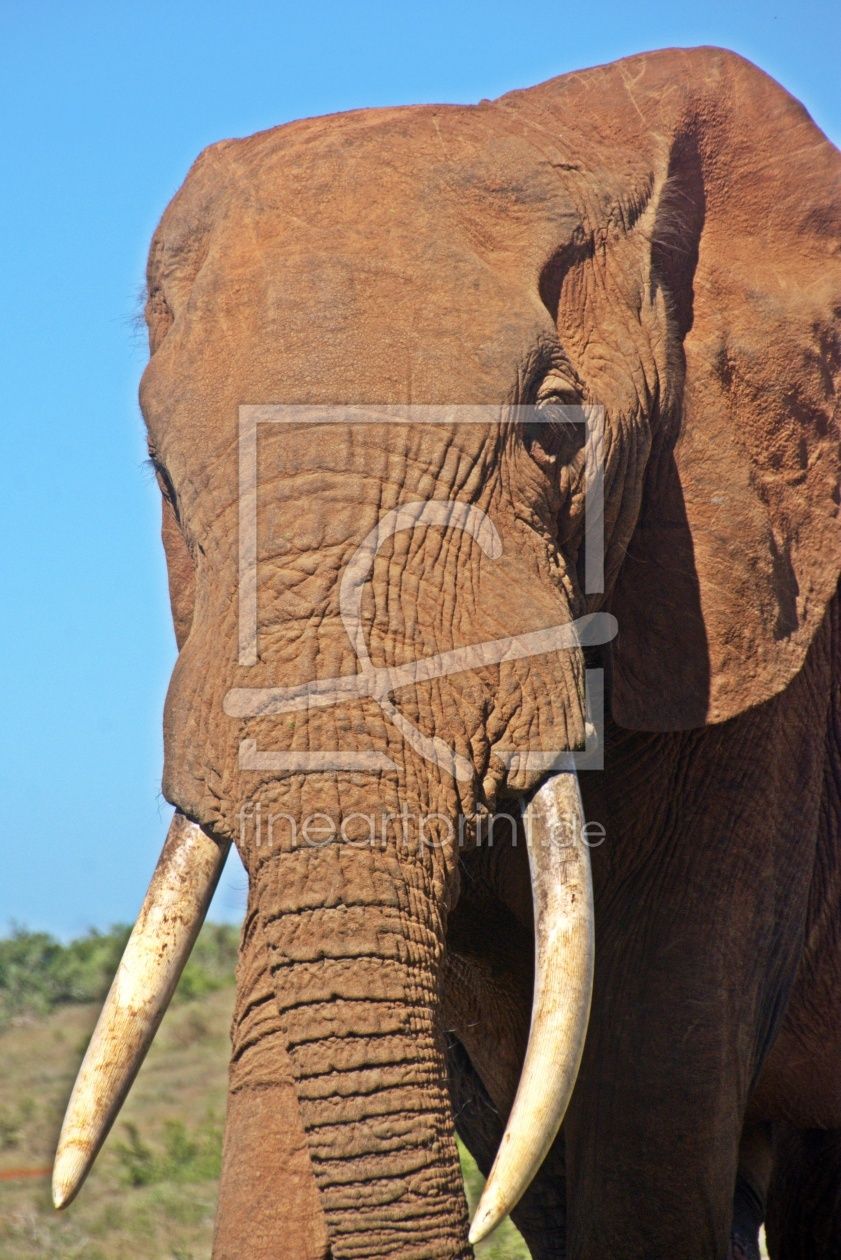 Bild-Nr.: 12935892 erhabene Begegnung erstellt von Schwob