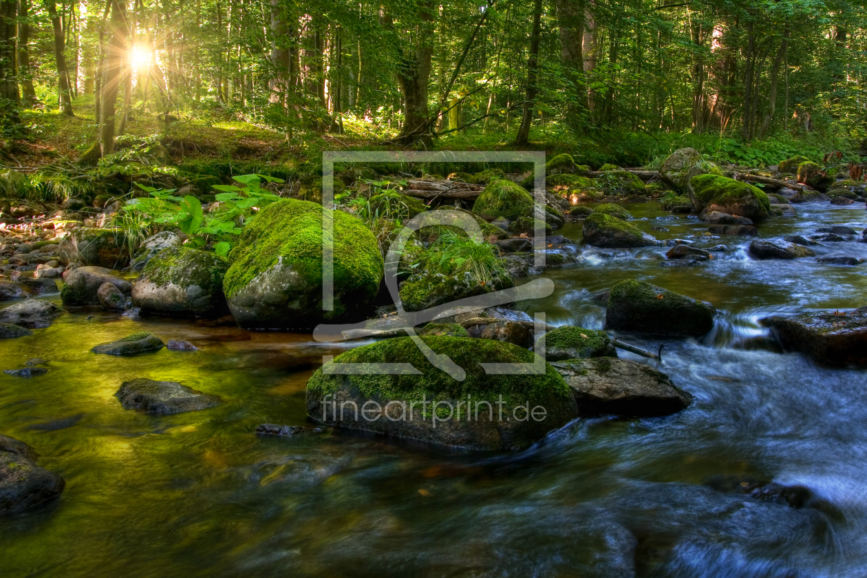 Bild-Nr.: 12935907 Der Harz erstellt von Steffen Gierok