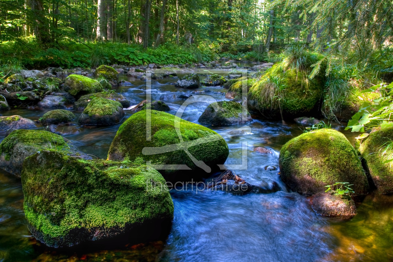 Bild-Nr.: 12935908 Frühling im Harz erstellt von Steffen Gierok