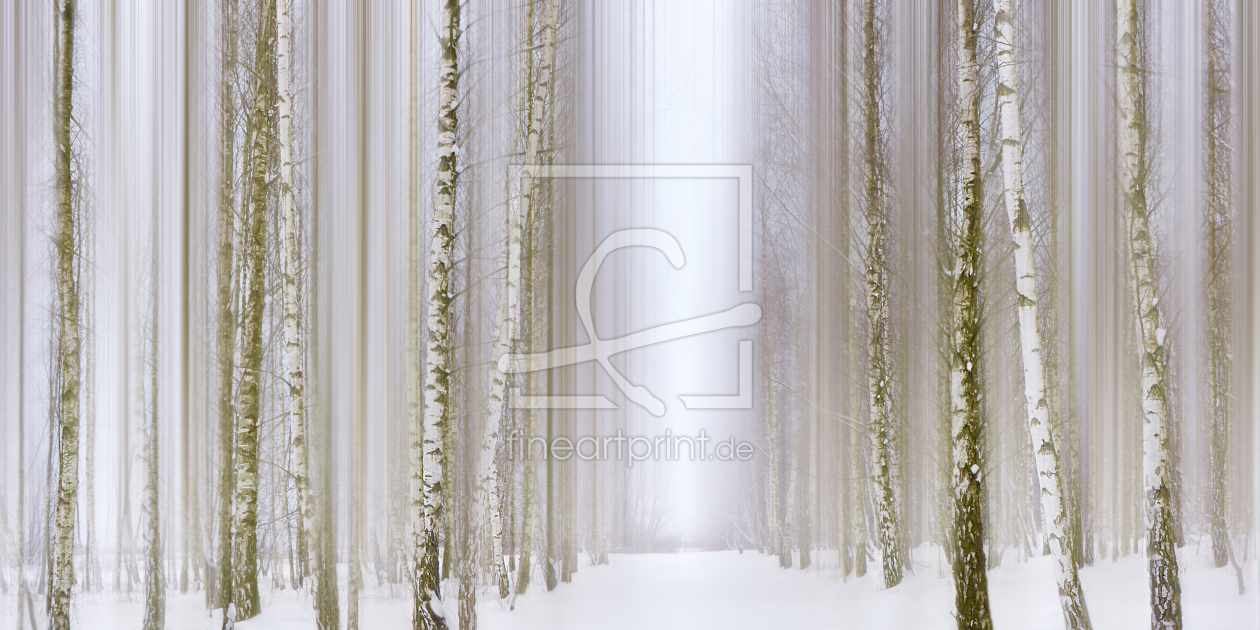 Bild-Nr.: 12937359  Birkenwald im Winter erstellt von Atteloi