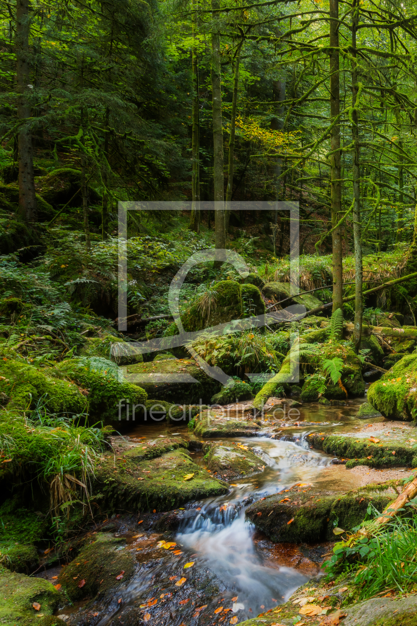 Bild-Nr.: 12938028 geheimisvoller grüner Wald erstellt von Daniela Beyer
