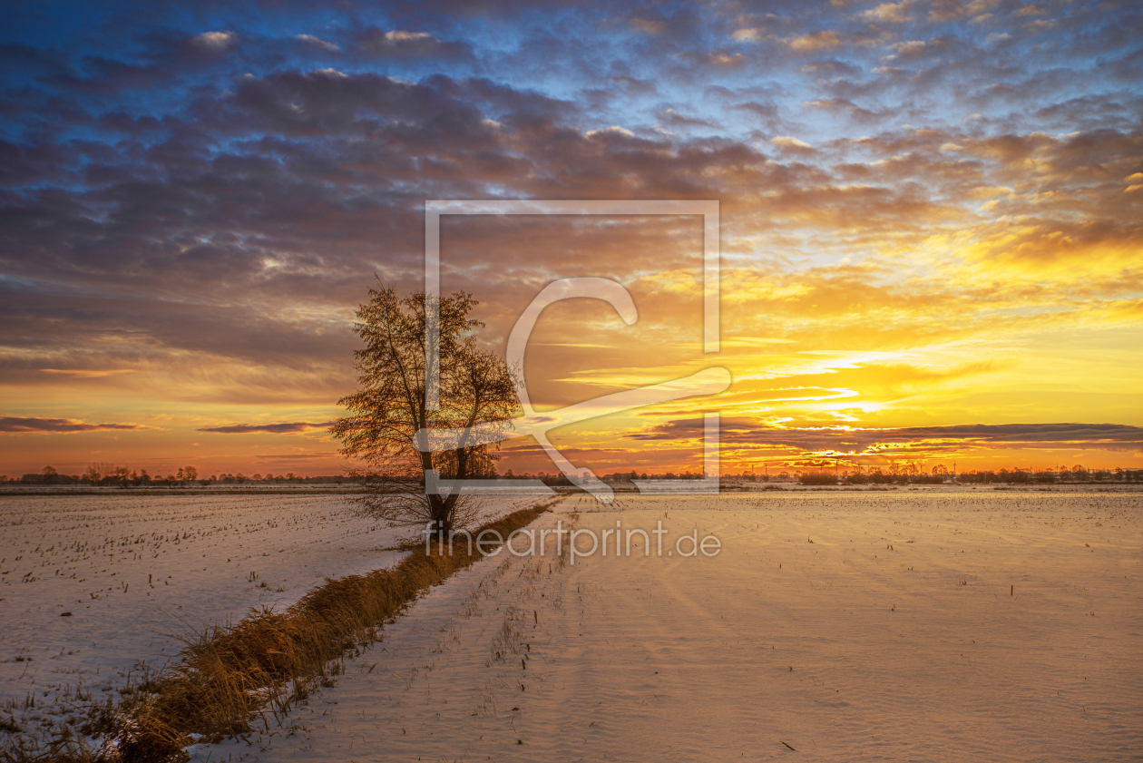 Bild-Nr.: 12938122 Golden Winter Horizon erstellt von Tanja Riedel