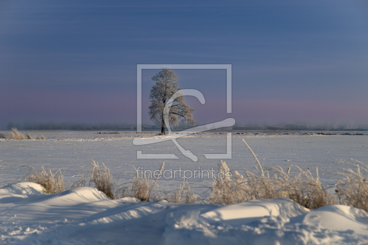 Bild-Nr.: 12938131 Lone Tree in a Frozen Winter Landscape erstellt von Tanja Riedel