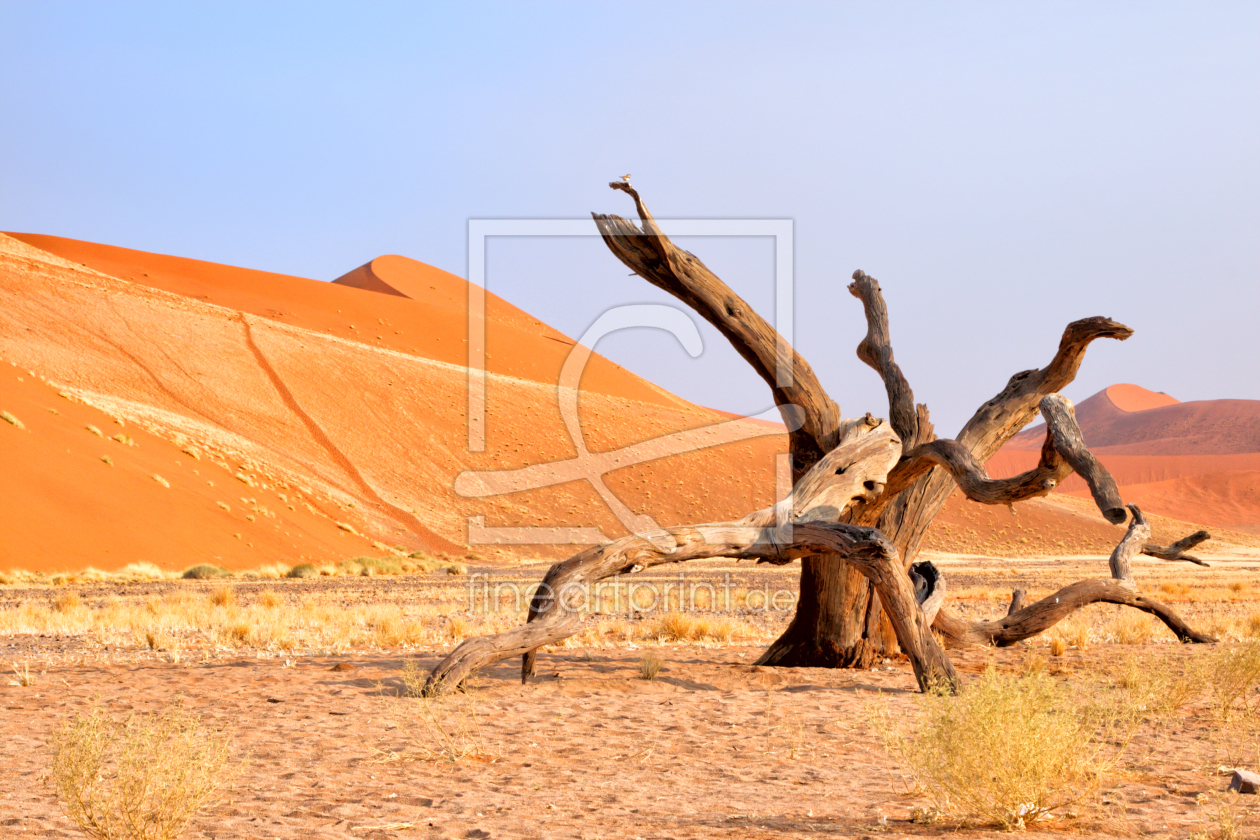 Bild-Nr.: 12938989 Wüste Namib erstellt von DirkR