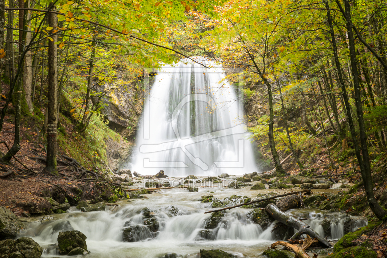 Bild-Nr.: 12939070 Josefsthaler Wasserfall im Herbst erstellt von SusaZoom