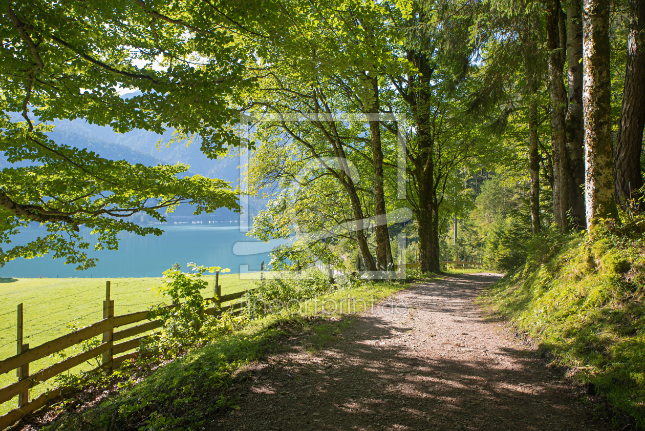Bild-Nr.: 12940389 Achensee Uferweg erstellt von SusaZoom