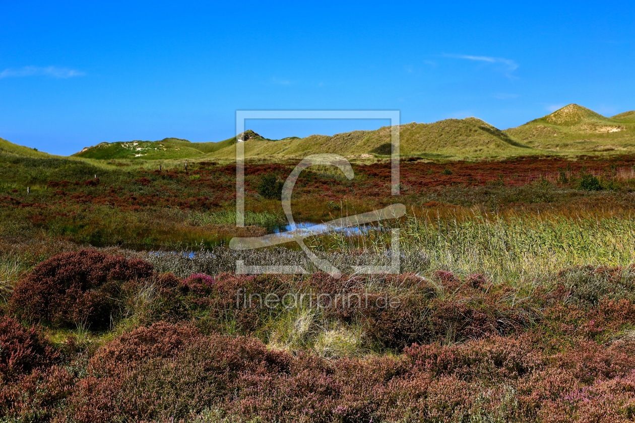 Bild-Nr.: 12940874 Amrumer Dünenlandschaft erstellt von Ursula Reins