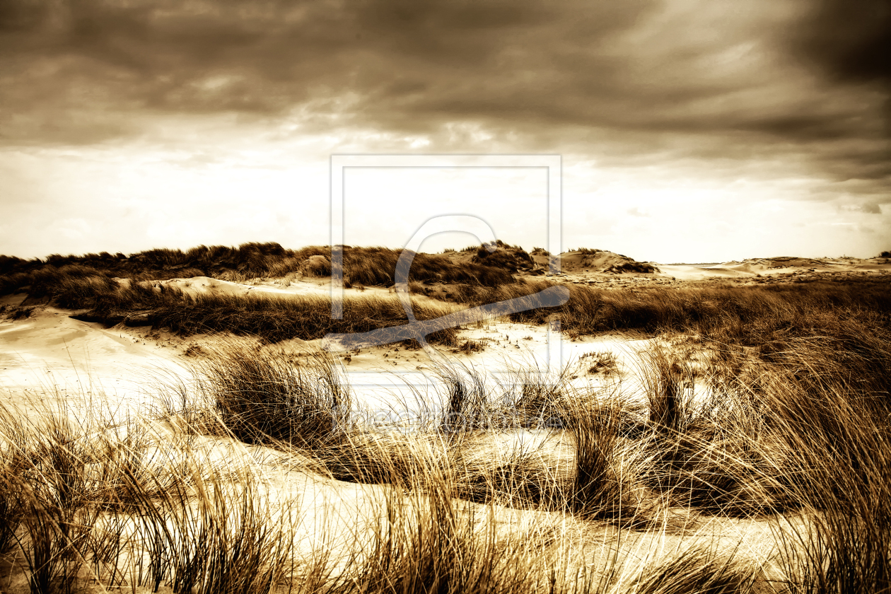 Bild-Nr.: 9472490 Dünen Impressionen I erstellt von Timo Geble
