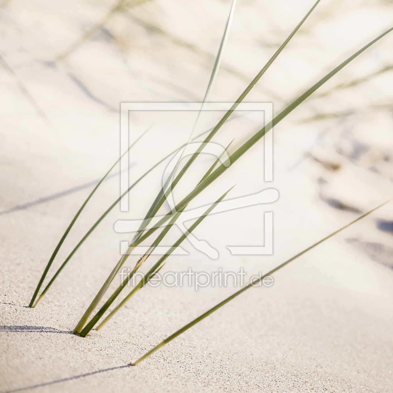Bild-Nr.: 9743442 Nordsee | Strand ~ 3 erstellt von Frank Wächter