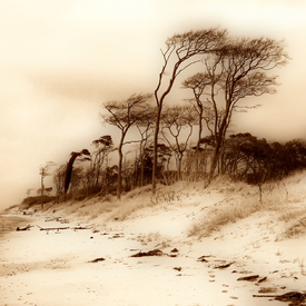 Weststrand (sepia, soft)/9883030