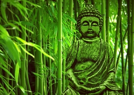 Buddha/9900104