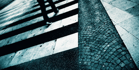 ZEBRA | crossing/9909600
