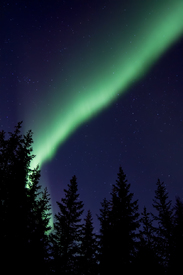 Polarlichter/10454544