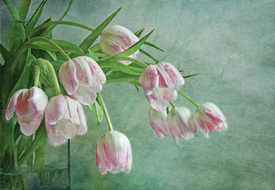 waiting for spring/10819291