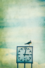 Time Watcher - Hafen Helgoland/11127902