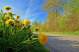 Der Weg ist das Ziel/11499571