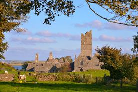 Klosterruine/11567620