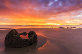 Moeraki Boulder/11745112