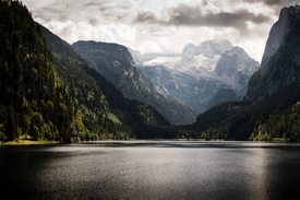 Dachsteinblick/11800494