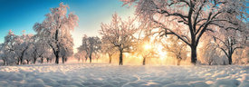 Verzauberte Winterlandschaft im goldenen Licht/12878846