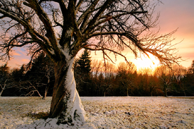 Farbenfroher Sonnenuntergang über Winterlandschaft/12930048