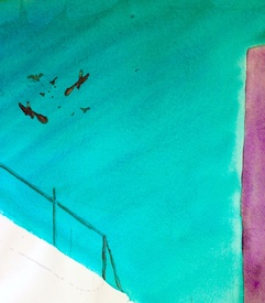 sie kreisen über dir/12931366