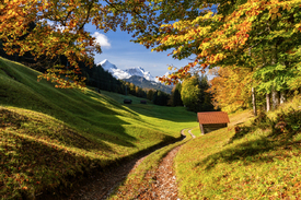 Herbst in Oberbayern/12939524