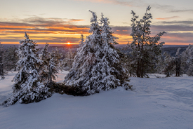 Winter in Lappland/12512084