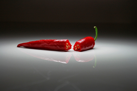 hot chili/9997835