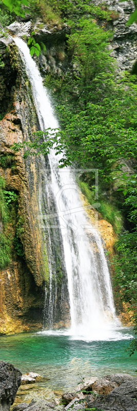 frei wählbarer Bildausschnitt für Ihr Bild auf Fensterfolie