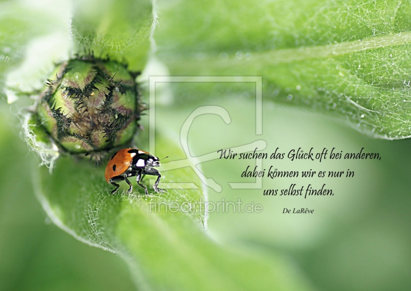 frei wählbarer Bildausschnitt für Ihr Bild auf Fensterfolie