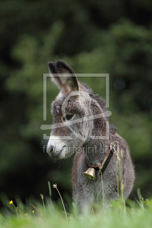 frei wählbarer Bildausschnitt für Ihr Bild auf Fensterfolie