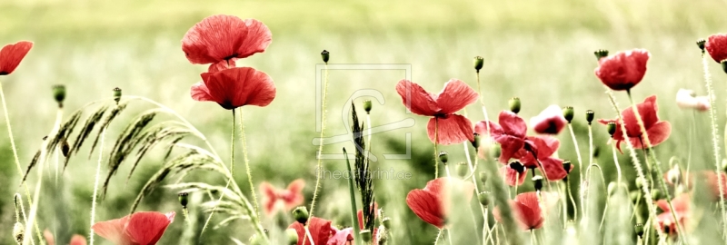 frei wählbarer Bildausschnitt für Ihr Bild auf Fensterfolie