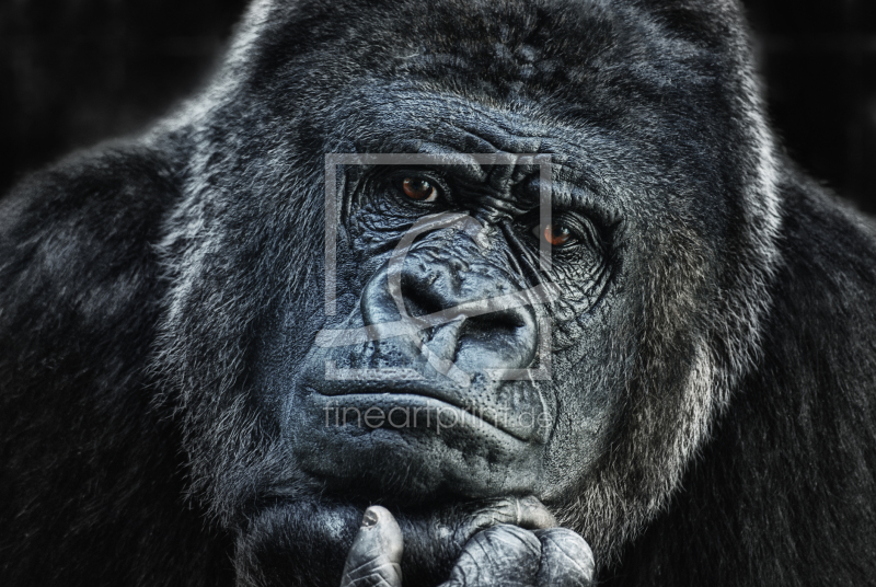 frei wählbarer Bildausschnitt für Ihr Bild auf Fensterfolie