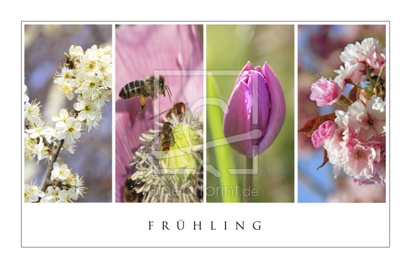 frei wählbarer Bildausschnitt für Ihr Bild auf Fensterfolie