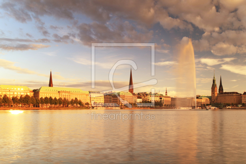frei wählbarer Bildausschnitt für Ihr Bild auf Fensterfolie