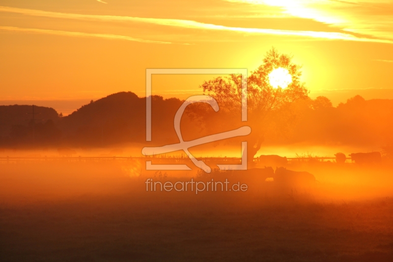 frei wählbarer Bildausschnitt für Ihr Bild auf Fensterfolie