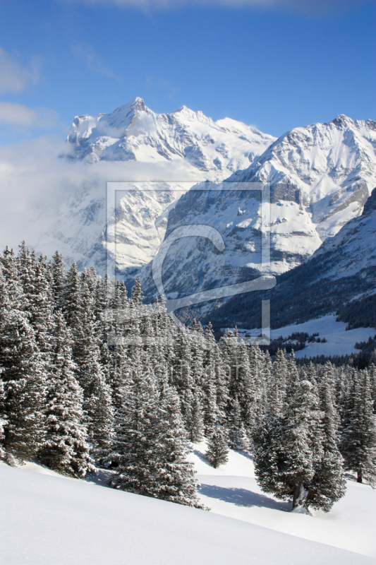 frei wählbarer Bildausschnitt für Ihr Bild auf Fensterfolie