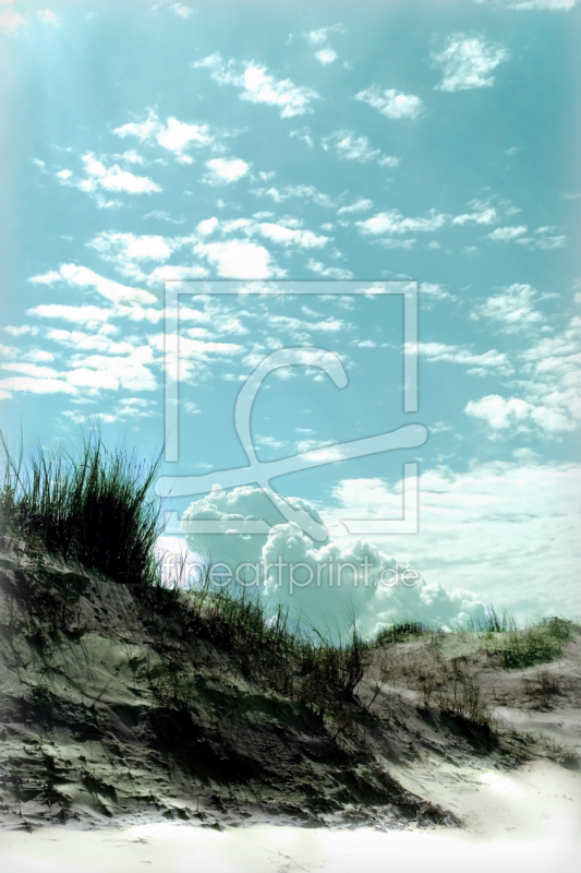 frei wählbarer Bildausschnitt für Ihr Bild auf Fensterfolie