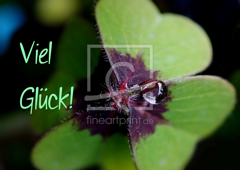 frei wählbarer Bildausschnitt für Ihr Bild auf Fensterfolie