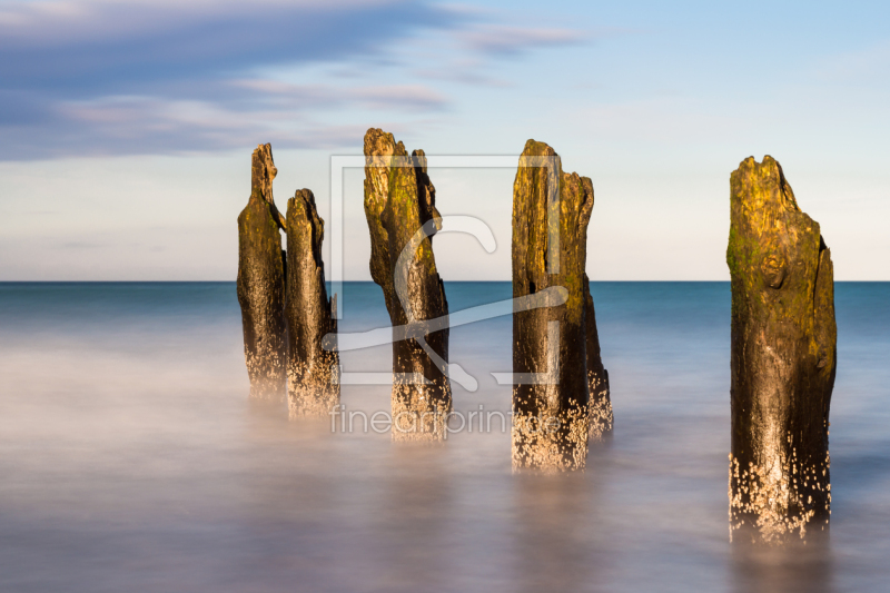 frei wählbarer Bildausschnitt für Ihr Bild auf Fensterfolie