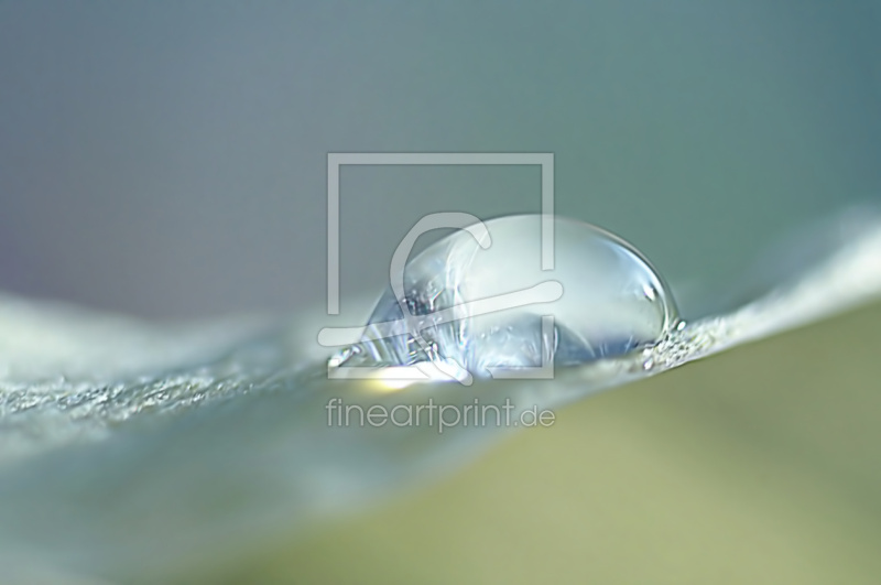 frei wählbarer Bildausschnitt für Ihr Bild auf Fensterfolie