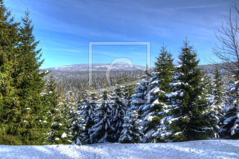 frei wählbarer Bildausschnitt für Ihr Bild auf Fensterfolie